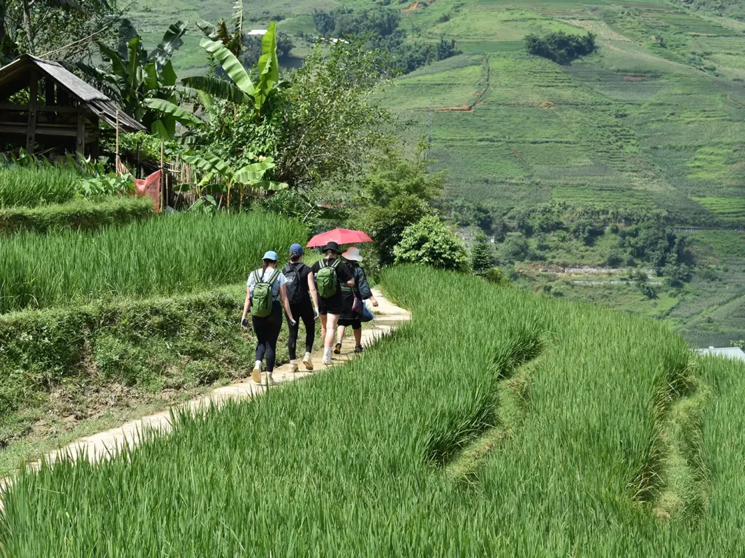 1 day easy trekking in sapa 11 | Sapa Tickets