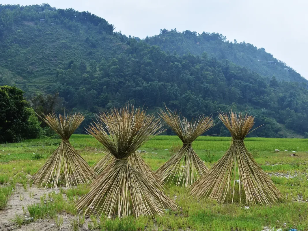 1 day easy trekking in sapa 16 | Sapa Tickets