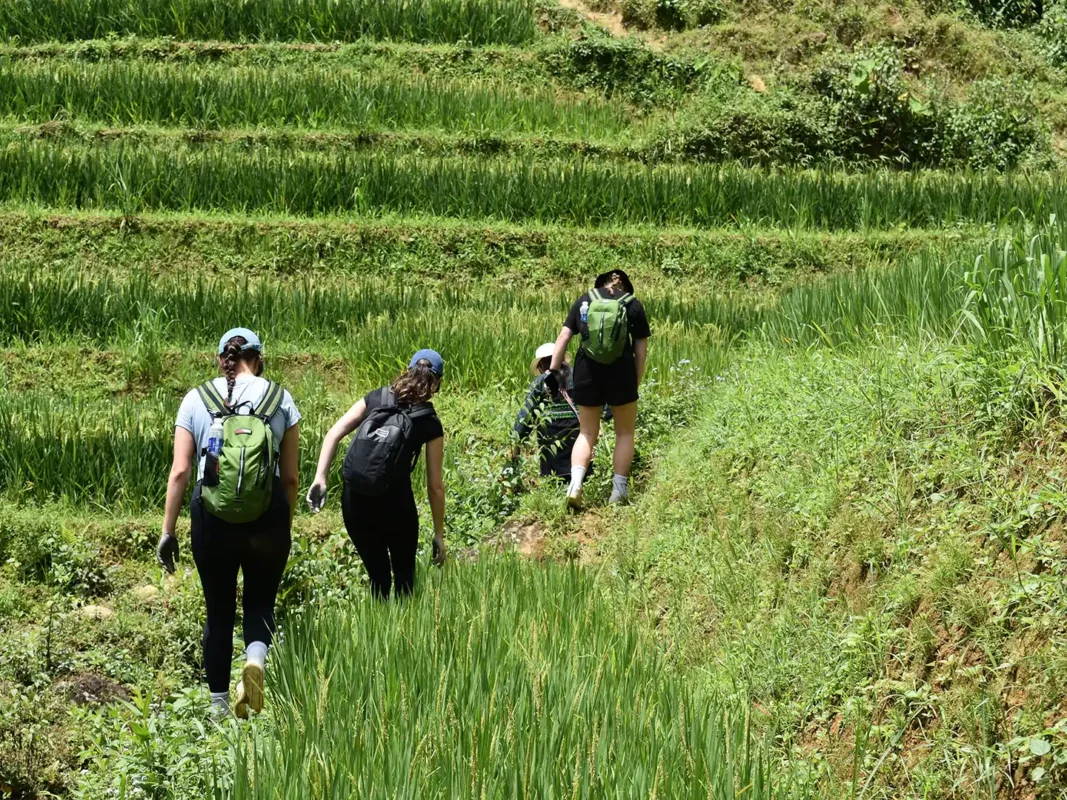 1 day easy trekking in sapa 2 | Sapa Tickets