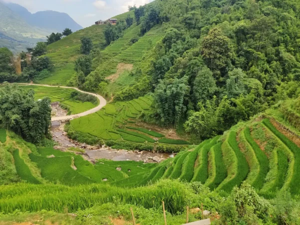 1 day easy trekking in sapa 24 | Sapa Tickets