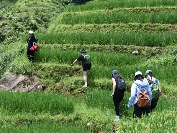 1 day easy trekking in sapa 3 | Sapa Tickets