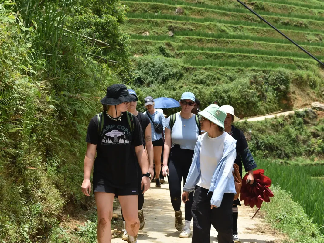 1 day easy trekking in sapa 5 | Sapa Tickets