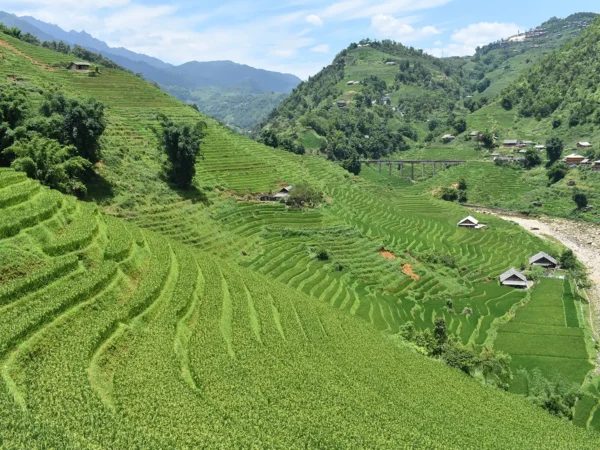 1 day easy trekking in sapa 6 | Sapa Tickets