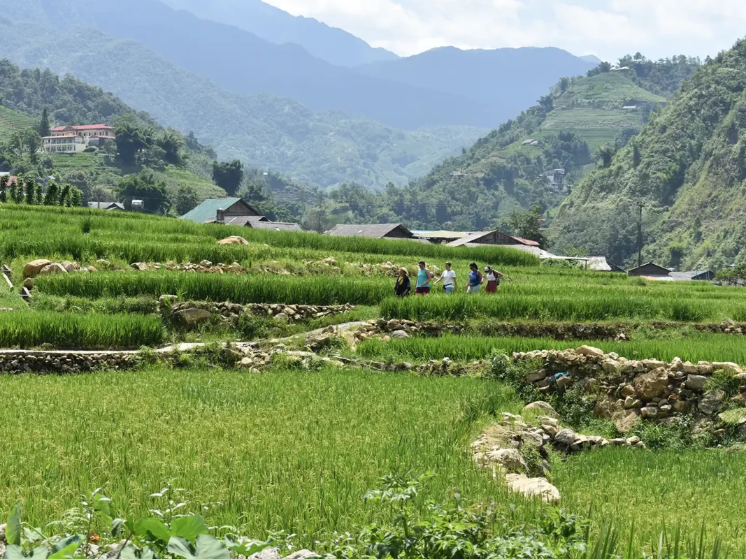 1 day easy trekking in sapa 8 | Sapa Tickets