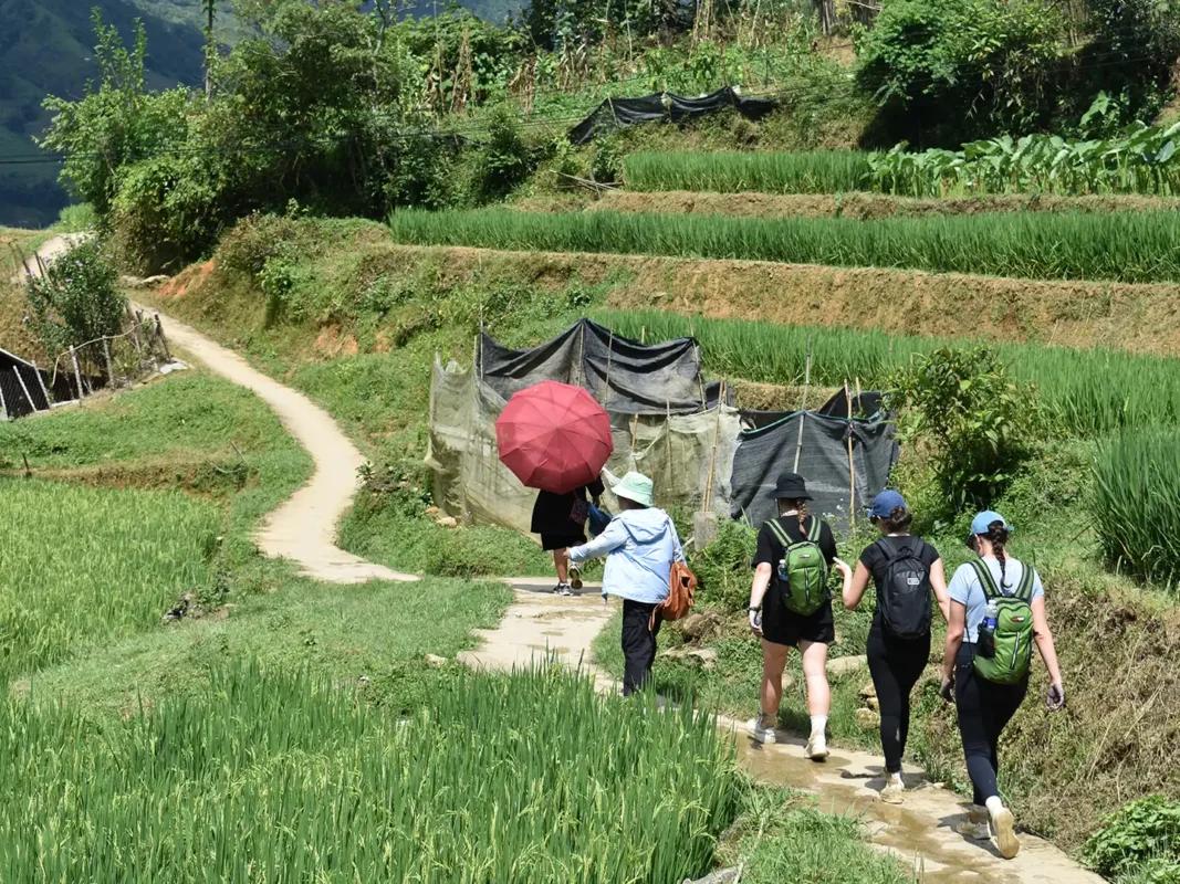 1 day easy trekking in sapa 9 | Sapa Tickets