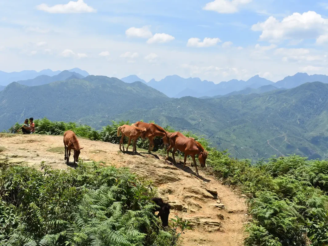 1 day moderate trekking in sapa 11 | Sapa Tickets