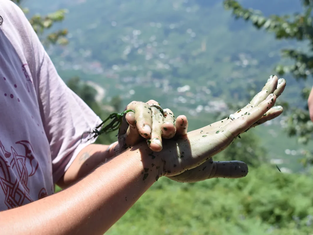 1 day moderate trekking in sapa 14 | Sapa Tickets