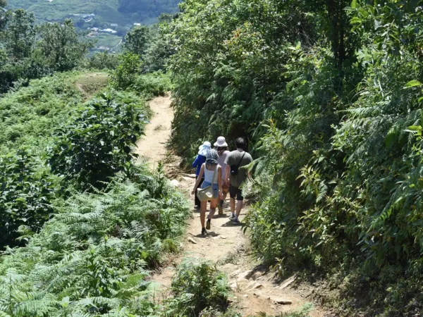 1 day moderate trekking in sapa 19 | Sapa Tickets