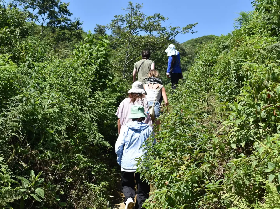 1 day moderate trekking in sapa 27 | Sapa Tickets