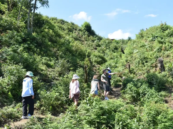 1 day moderate trekking in sapa 28 | Sapa Tickets