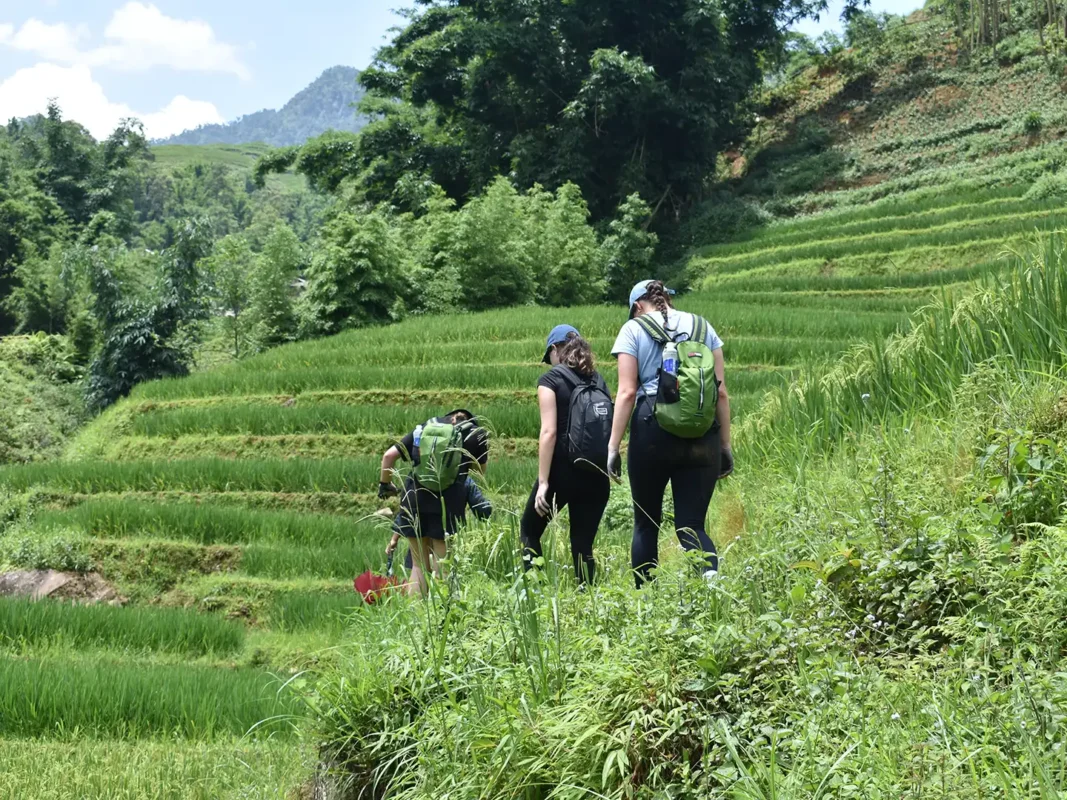 2 days 1 night trekking in sapa 1 | Sapa Tickets