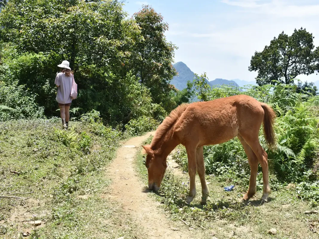 2 days 1 night trekking in sapa 11 | Sapa Tickets