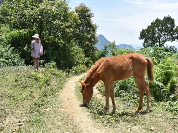 2 days 1 night trekking in sapa 11 | Sapa Tickets