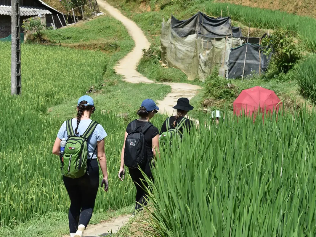 2 days 1 night trekking in sapa 17 | Sapa Tickets