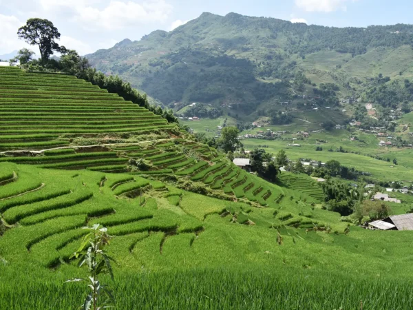 2 days 1 night trekking in sapa 2 | Sapa Tickets