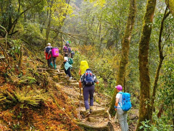 2 days fansipan hiking 3 | Sapa Tickets