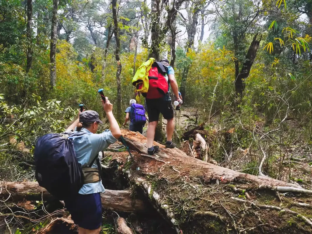 fansipan hiking sapa 10 | Sapa Tickets